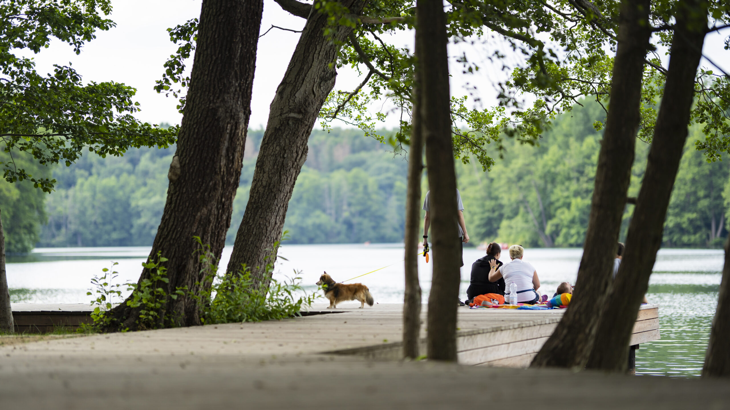 06.Park_Zamkowy-MB-5