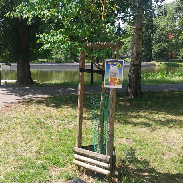 WhatsApp Image 2025-07-04 at 14.25.10