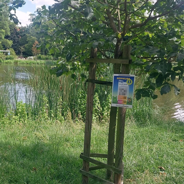 ceb4cf4d-cd30-421b-9df8-7655b608d9b8